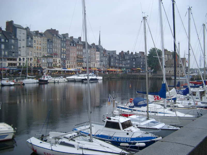 Hornfleur in the Rain