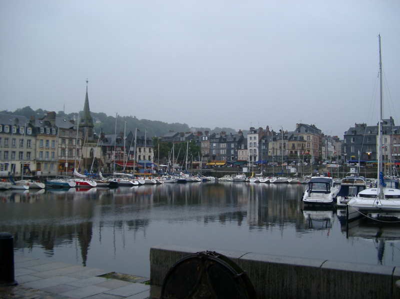 Hornfleur in the Rain