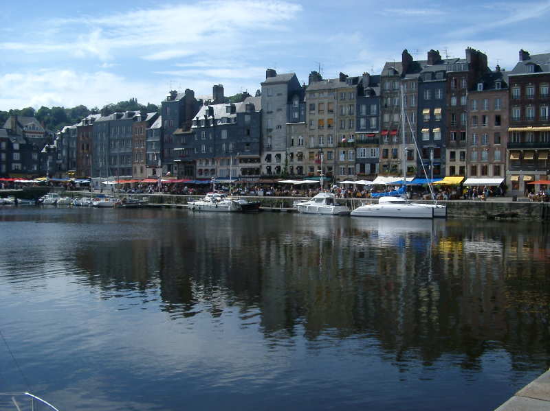 Hornfleur in the Sun