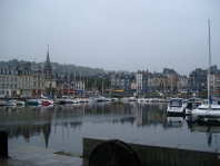 Hornfleur in the Rain