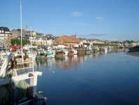 Hornfleur in the Sun