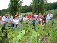 Grapes2.JPG

350.91 KB 
1024 x 768 
25/08/02
