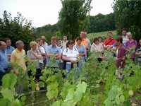 Grapes3.JPG

337.97 KB 
1024 x 768 
25/08/02
