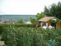 Grapes4.JPG

347.35 KB 
1024 x 768 
25/08/02
