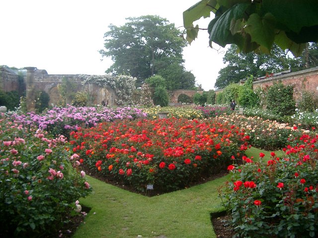 IMGP6408.JPG - The beautiful Rose Garden