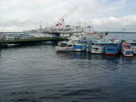 Manaus1