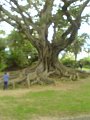 DSC00026