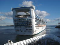 The Golden Princess Cruise Ship
