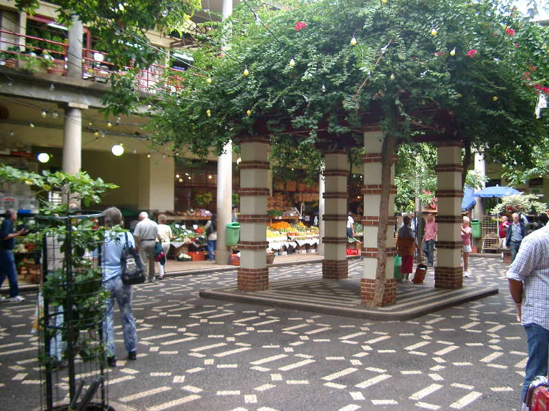 IMGP1717