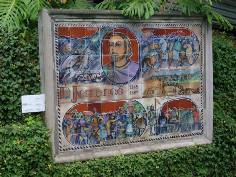 IMGP1729