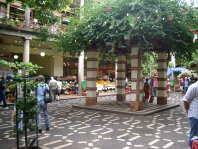 IMGP1717
