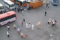 IMGP5485