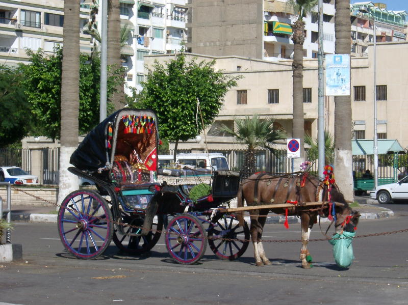 Egypt015