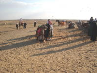 Egypt003