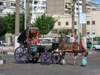 Egypt015