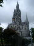 Cork