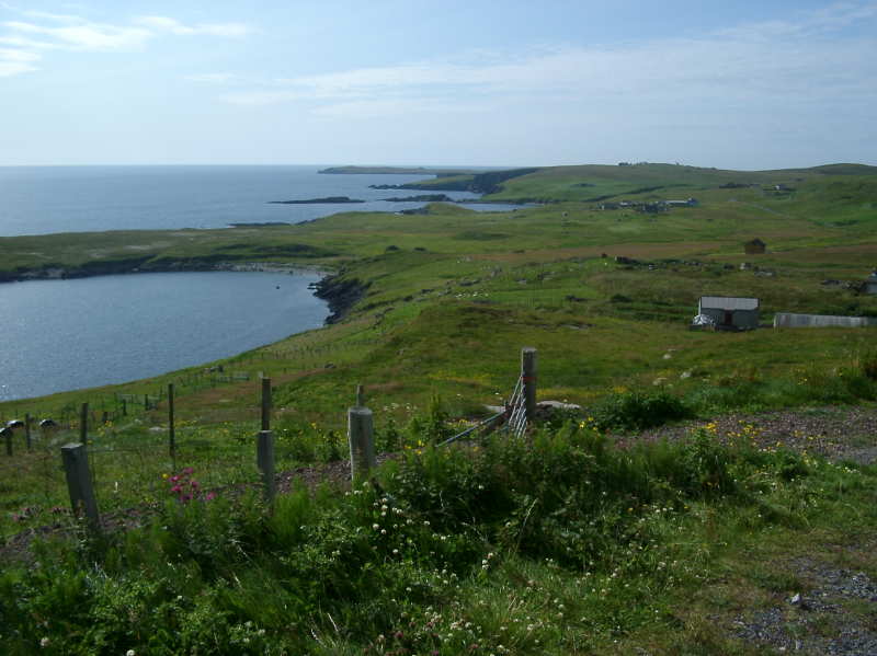 Shetlands01