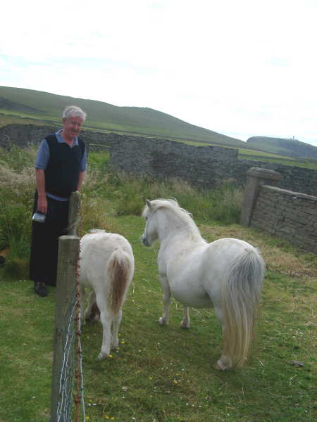 Shetlands04