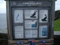 Shetlands08
