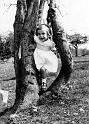 1944Tree
