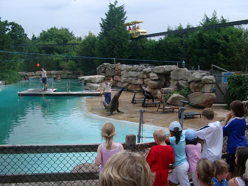IMGP4937.JPG - Lunch by the Pacific Sea Lion Pool