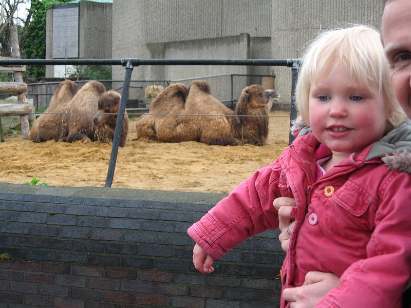 IMG_5774.jpg - Hannah with the camels
