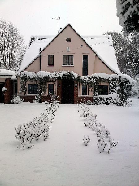 DSC00094.JPG - 'Sofiero' from the Garden at Chipstead