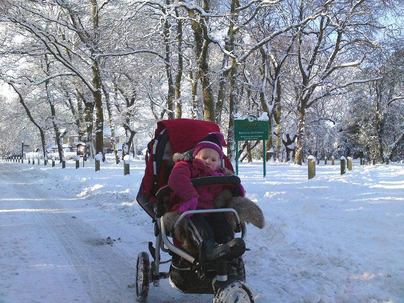 DSC00095.JPG - Chipstead