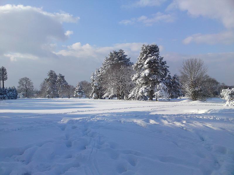 DSC00096.JPG - Chipstead Golf Course