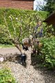 DSC08500