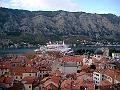 Kotor