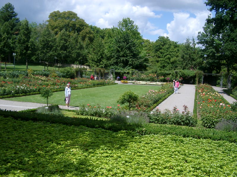 Rose Garden