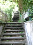 Steps up to No. 10