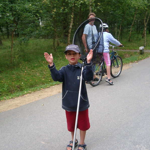 How Big Was the Fish Dom?